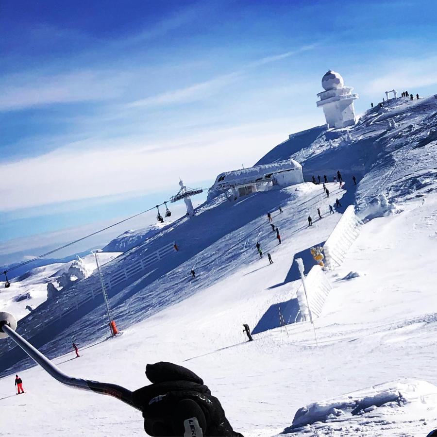 Wolf Apartments Jahorina Kültér fotó